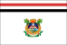 Bandeira Pedreiras MA bandeira Pedreiras MA