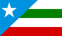 Bandeira Bom Jesus das Selvas MA bandeira Bom Jesus das Selvas MA