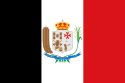 Bandeira Codó MA bandeira Codó MA