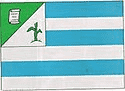 Bandeira Coelho Neto MA bandeira Coelho Neto MA