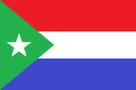 Bandeira São Vicente Ferrer MA bandeira São Vicente Ferrer MA