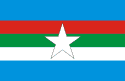 Bandeira Timbiras MA bandeira Timbiras MA