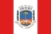 Bandeira Alto Jequitibá MG bandeira Alto Jequitibá MG
