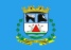 Bandeira Antônio Carlos MG bandeira Antônio Carlos MG