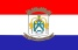 Bandeira Buritizeiro MG bandeira Buritizeiro MG