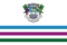 Bandeira Caldas MG bandeira Caldas MG
