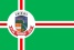 Bandeira Carandaí MG bandeira Carandaí MG