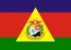 Bandeira Caratinga MG bandeira Caratinga MG