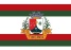 Bandeira Funilândia MG bandeira Funilândia MG