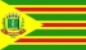 Bandeira Guaranésia MG bandeira Guaranésia MG