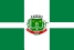 Bandeira Leopoldina MG bandeira Leopoldina MG