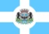 Bandeira Pains MG bandeira Pains MG