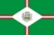 bandeira Palma MG