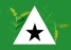 Bandeira Pedrinópolis MG bandeira Pedrinópolis MG