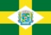 Bandeira Pirapetinga MG bandeira Pirapetinga MG