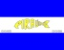 Bandeira Piraúba MG bandeira Piraúba MG