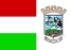 Bandeira Rio Piracicaba MG bandeira Rio Piracicaba MG