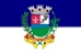 Bandeira Santo Antônio do Grama MG bandeira Santo Antônio do Grama MG