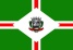 Bandeira Tombos MG bandeira Tombos MG