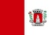 Bandeira Urucânia MG bandeira Urucânia MG
