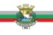 Bandeira Varjão de Minas MG bandeira Varjão de Minas MG