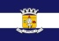 Bandeira Araçuaí MG bandeira Araçuaí MG