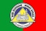 Bandeira Bom Despacho MG bandeira Bom Despacho MG