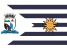 bandeira Cambuquira MG