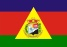 Bandeira Caratinga MG bandeira Caratinga MG