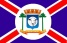 bandeira Carlos Chagas MG
