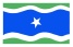 Bandeira Entre Rios de Minas MG bandeira Entre Rios de Minas MG