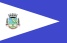 Bandeira Fervedouro MG bandeira Fervedouro MG