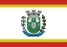 bandeira Gonzaga MG