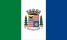 Bandeira Martins Soares MG bandeira Martins Soares MG