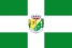 Bandeira Miraí MG bandeira Miraí MG