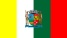 Bandeira Ponte Nova MG bandeira Ponte Nova MG