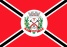 Bandeira Salinas MG bandeira Salinas MG