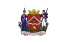 Bandeira Uberaba MG bandeira Uberaba MG