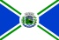 bandeira Virginópolis MG