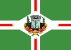 Bandeira Naviraí MS bandeira Naviraí MS