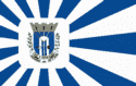 Bandeira Amambai MS bandeira Amambai MS