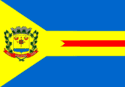 Bandeira Ivinhema MS bandeira Ivinhema MS