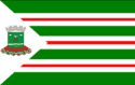 Bandeira Nova Andradina MS bandeira Nova Andradina MS