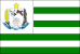 Bandeira Santa Carmem MT bandeira Santa Carmem MT