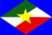 Bandeira Santa Rita do Trivelato MT bandeira Santa Rita do Trivelato MT