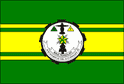Bandeira Alto Araguaia MT bandeira Alto Araguaia MT