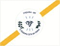 Bandeira Itiquira MT bandeira Itiquira MT