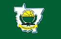 Bandeira Lucas do Rio Verde MT bandeira Lucas do Rio Verde MT