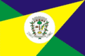 Bandeira Paranaíta MT bandeira Paranaíta MT
