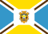 Bandeira Igarapé-Miri PA bandeira Igarapé-Miri PA